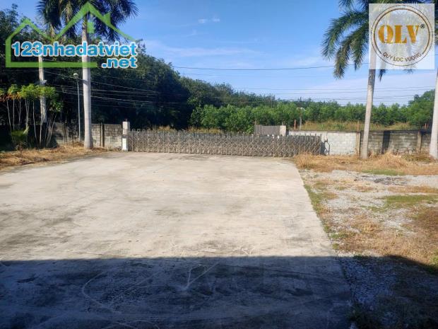 Bán đất xưởng SKC tại Bàu Bàng 12.928 m² - 1