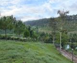 110m2 - Đất ở - Thổ Cư - Bảo Lộc - Làng Omm