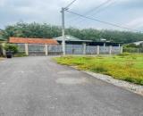 CHỦ NGỘP CẦN BÁN GẤP ĐỂ TRẢ NỢ