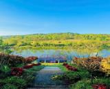 🌿 BẢO LỘC – KHÔNG CHỈ LÀ MỘT CHUYẾN ĐI, MÀ CÒN LÀ MỘT NGÔI NHÀ THỨ HAI 🏡