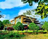 Đất nghỉ dưỡng trung tâm Tp Bảo Lộc chỉ 800tr sổ sẵn