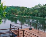 Sở hữu 384m2 đất nền biệt thự Làng Omm Bảo Lộc - Chỉ từ 1,92 tỷ vốn ban đầu