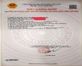 BÁN NHÀ CẤP 4 – ẤP MỸ HUỀ, BÀ ĐIỂM, TP.HCM ►  Giá bán: 3,25 tỷ – Sổ hồng riêng