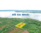 2,3 sào rẫy cà phê km18 view hồ Ea Nhái KrongPak chỉ 1,79 tỷ Quỳnh Anh