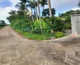 ĐẦU TƯ SINH LỜI – CẦN BÁN ĐẤT THỔ CƯ, Tổ Dân Phố Bình Minh, P. Cư Bao, T. Đắk Lắk