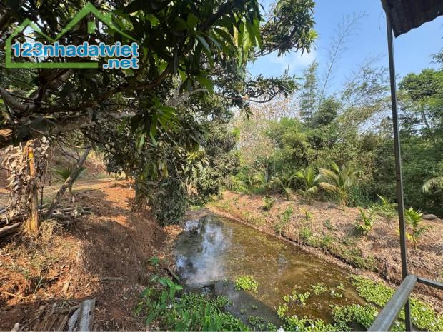 2,5 hecta đất đồi cuối Thôn 1 Đạt Lý thuộc Eapok 9,5 tỷ ôm suối 400m Quỳnh Anh - 2