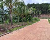 Đất ven Đà Lạt 10mx38m, 1,2 tỷ, view đồi thông