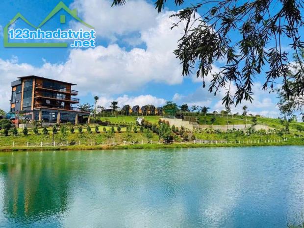 lô đất 200m² view hồ, suối, đồi thông – lựa chọn đáng tham khảo tại làng omm