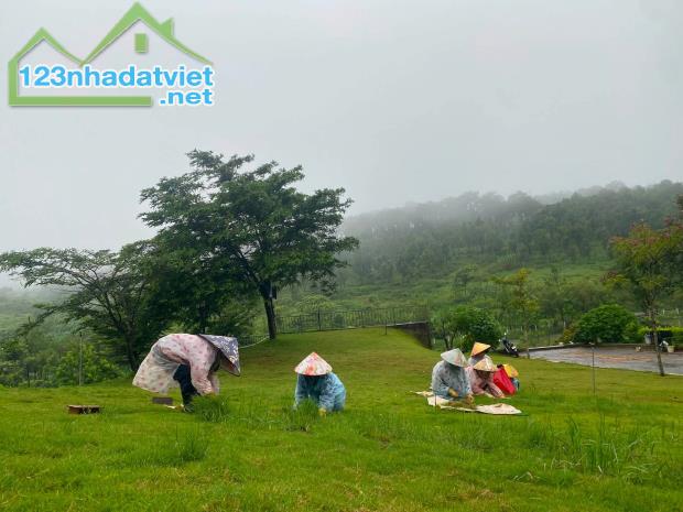 Đất ở - Sổ Hồng - Nghỉ dưỡng Bảo Lộc - 4