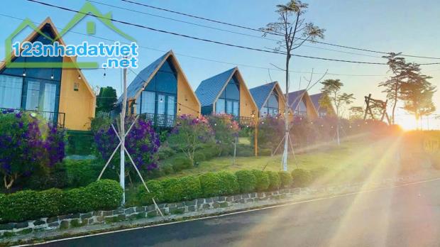 MỘT MẢNH ĐẤT RỘNG, TỰ LÊN Ý TƯỞNG CHO NGÔI NHÀ CỦA MÌNH - 1