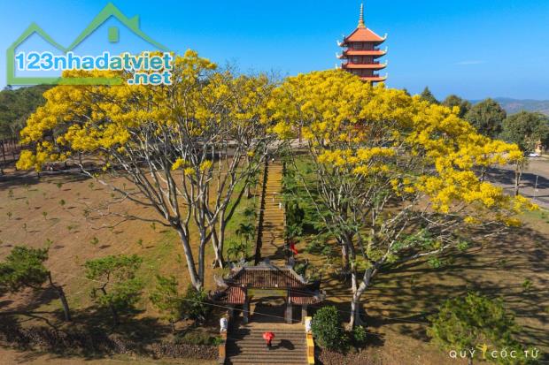 🌿 MỞ CỬA SỔ RA, ĐIỀU ĐẦU TIÊN BẠN NHÌN THẤY LÀ GÌ? - 2