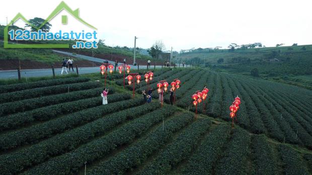 🌿 ĐẤT XANH BẢO LỘC – VỪA NGHỈ DƯỠNG, VỪA TÍCH LŨY