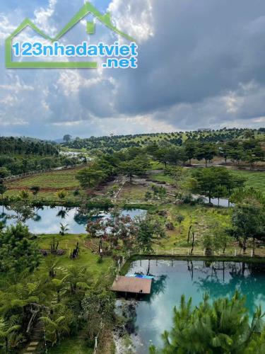 🌿 ĐẤT XANH BẢO LỘC – VỪA NGHỈ DƯỠNG, VỪA TÍCH LŨY - 4