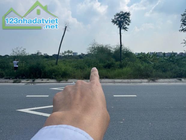 Cơ hội sở hữu mảnh đất 342m2 tại xã Đông Anh, Hà Nội, - 2