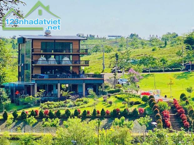 Khám phá Làng OMM Bảo Lộc – Sở hữu đất nghỉ dưỡng từ 850 triệu - 1