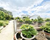 [KH174*] Đất Vườn Lài APĐ 460m2 Ngang 7m - Giá 13.x Tỷ
