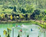 🔥 ĐẤT LÂM ĐỒNG VIEW ĐỒI CHÈ TÂM CHÂU – SỔ RIÊNG, CÓ THỔ CƯ, GIÁ CHỈ TỪ 800 TRIỆU! 🌿