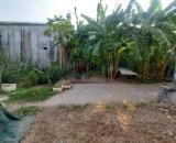 Tìm chủ mới, 52m2, mt4m, 3.4 tỷ, Bắc Hồng, Đông Anh, gần ô tô. 📌 Ngõ nông, ô tô gần nhà.