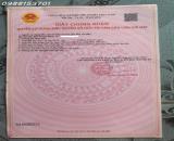Bán đất đẹp tại Ấp Yên Ngựa, ĐT 744, Định Thành, Dầu Tiếng, 2,55 tỷ, DT 251m2