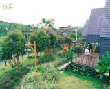 Nhà đất - Thổ cư - Bảo lộc - Làng Omm bên đồi chè