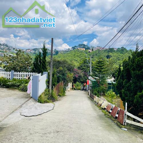 Nhà Đặng Thái Thân bên vườn thông xanh, một chút cảm giác trong lành