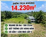 TẠI SAO NHÀ ĐẦU TƯ ĐẤT VEN ĐÔ NÊN XEM KỸ LÔ 14.230M² NÀY Ở CỦ CHI