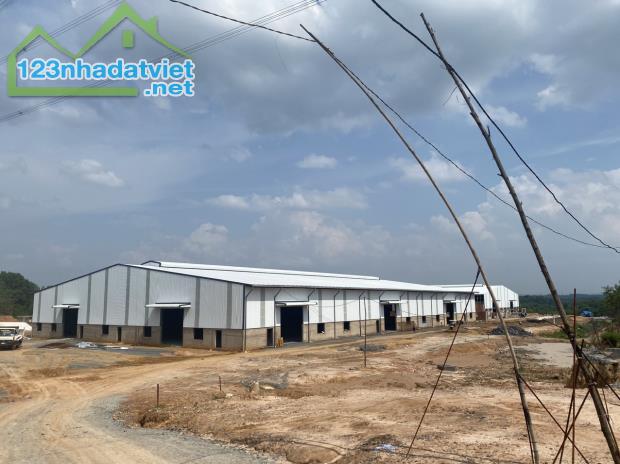 Cho thuê nhà xưởng xây mới tại Bắc Tân Uyên, Bình Dương 20.654 m² - 3