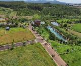 🌳 MỘT GÓC XANH Ở BẢO LỘC – LÀNG OMM