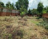 ĐẦU TƯ SINH LỜI – CẦN BÁN GẦN 1.000M² LÔ ĐẤT VƯỜN, Đ. Tam Đa, P. Long Phước, Q.9, TP.HCM