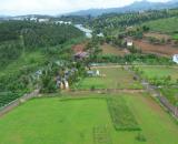 Đất Làng OMM Bảo Lộc – 200m² giá 900 triệu, không gian xanh cho một cuộc sống khác