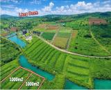 🔥 LÀNG OMM BẢO LỘC – ĐẤT ĐẸP GIỮA THIÊN NHIÊN, GIÁ CHỈ TỪ 800 TRIỆU/NỀN