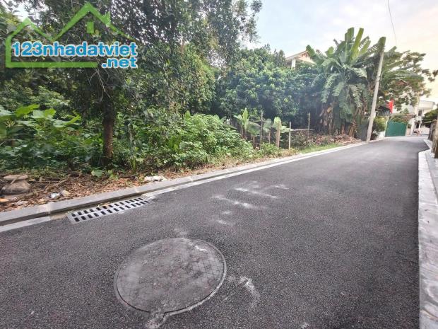 RẤT RẺ, DÀNH CHO AI TÌM 165m2, mt7m, 7.25 tỷ, Nguyên Khê, Đông Anh, Hà Nội, ô tô. - 2