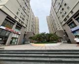 3.77 TỶ – 47M2 – CC @Home– TAM TRINH-HOÀNG MAI– 0985.826.871