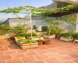 🔥 NHÀ ĐẸP 3 TẦNG PHÚC THỊNH – CHỦ HẠ SỐC – CƠ HỘI TÍCH SẢN HIẾM TRONG TẦM TIỀN DT 60M ❌