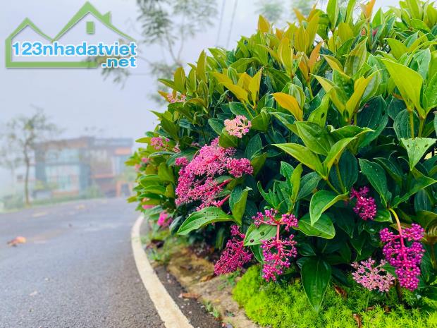 Đất nghỉ dưỡng trung tâm Tp Bảo Lộc chỉ 800tr sổ sẵn - 2