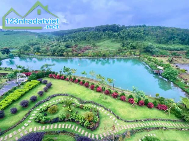 🌿 1.000M² ĐẤT THỔ CƯ BẢO LỘC – QUỸ ĐẤT RỘNG, LINH HOẠT KHAI THÁC