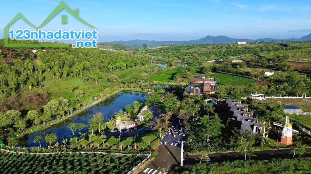 🌿 1.000M² ĐẤT THỔ CƯ BẢO LỘC – QUỸ ĐẤT RỘNG, LINH HOẠT KHAI THÁC - 1