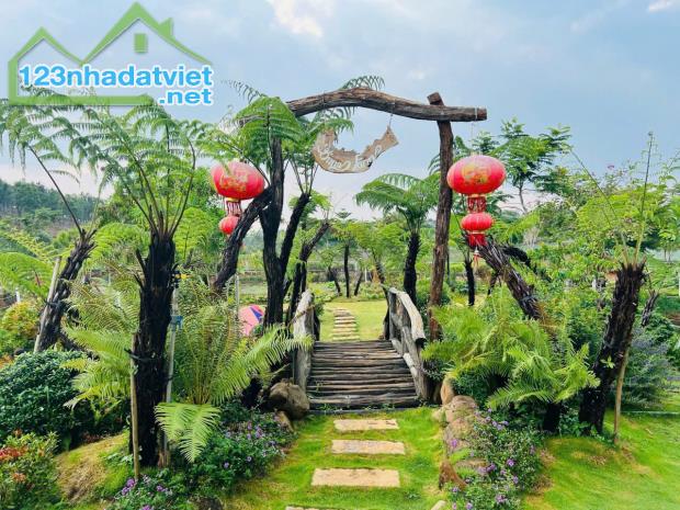 🌿 1.000M² ĐẤT THỔ CƯ BẢO LỘC – QUỸ ĐẤT RỘNG, LINH HOẠT KHAI THÁC - 2