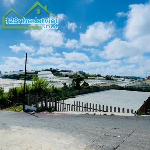 Giảm giá khẩn cấp để bán đất Trần Quang Khải 322 m2 - 10,4 tỷ - 2