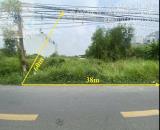 Đất thanh lý , diện tích lớn mặt tiền số 8 Lò Lưu cách Liên Phường vài bước chân