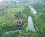 Chính chủ cần bán gấp lô đất tại phường 2 Bảo Lộc view đồi chè view hồ view suối chỉ từ9xx