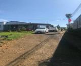 Nhà Vườn Bảo Lộc | Đối Diện Homestay Mạc Đĩnh Chi, Phường 2 | Giá 3,2 tỷ