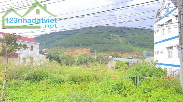 Tổng 4200m2 đất mặt tiền ql20, hiệp an đức trọng, lâm đồng - 3