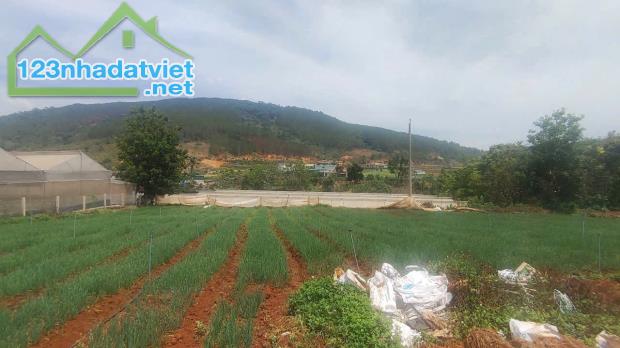 Tổng 4200m2 đất mặt tiền ql20, hiệp an đức trọng, lâm đồng - 1