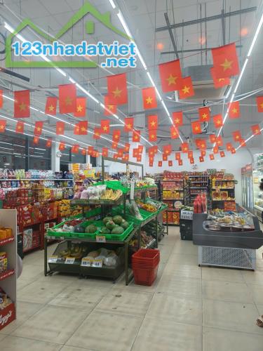 Shophouse Liên Phường – 288m² (18×16m) – Khu Thủ Thiêm Garden - 2