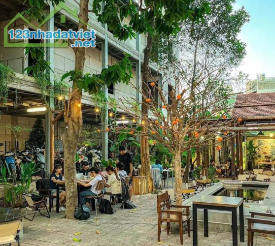 ĐẤT VÀNG 1000m² DƯƠNG QUẢNG HÀM - BIỆT THỰ  3 TẦNG + QUÁN CAFE - 100 TỶ - 5