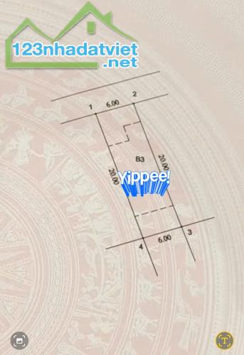 Bán biệt thự LK 5 tầng khu đô thị Việt Hưng Long Biên , view vườn hoa - 5