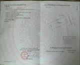 Bán lô đât biệt thự DT 124 M Vườn Hồng  Đằng Hải Hải An