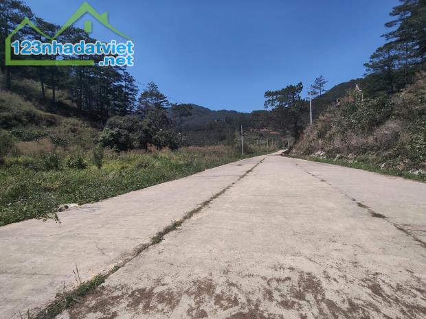 Đất Biệt Thự Full Thổ Cư Gần Cao Tốc Liên Khương – Prenn, TP. Đà Lạt – View Thoáng - 3