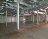 CHO THUÊ NHÀ XƯỞNG MỚI 10.000m² – KCN TIÊN SƠN, BẮC NINH | XƯỞNG ĐỘC LẬP